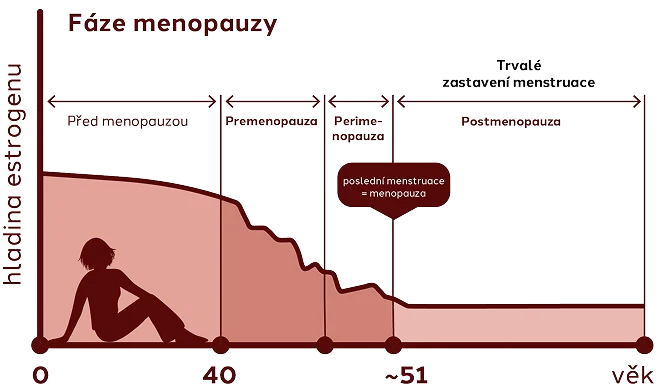 Graf fází menopauzy a hladiny estrogenu